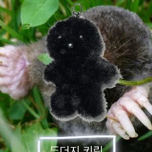 [HAPPiE] 두더지 키링