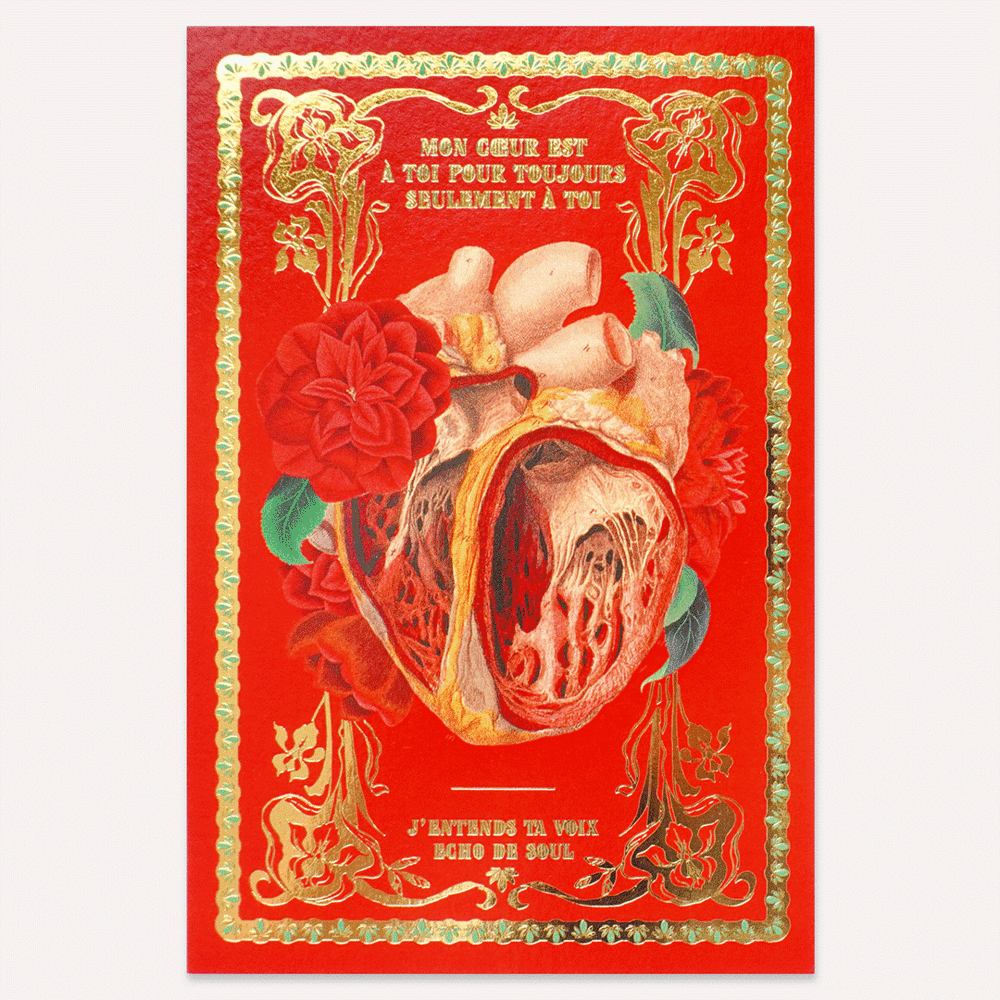 Eerie Forest Postcard