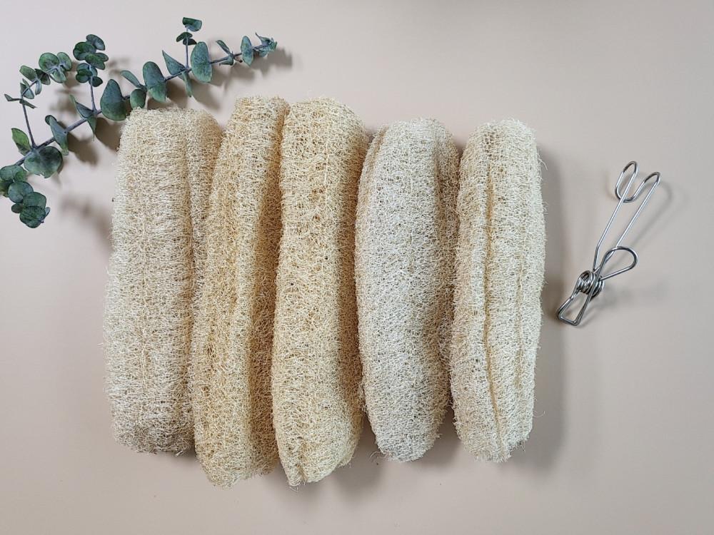 통열매 천연 루파 수세미 1년치 세트 제로웨이스트 샵