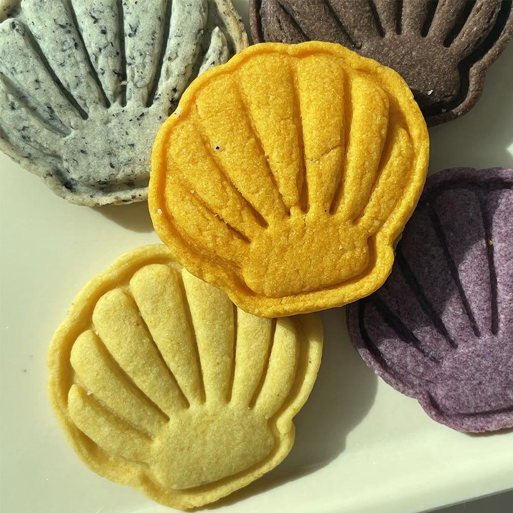 조개 쿠키커터 쿠키스탬프 쉘모양틀 빼꼼스튜디오