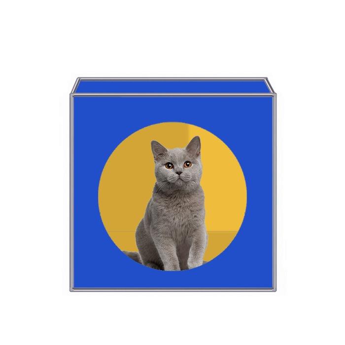 [LOITS] 모듈 반려동물 하우스