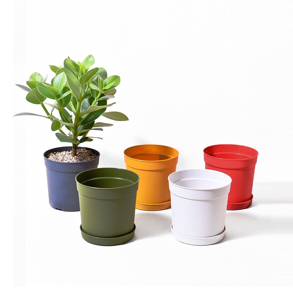 담따화분 플라스틱 소/중/대 가드닝화분 플분 다육이 분갈이 다이소