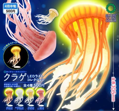 네이쳐테크니칼라 해파리 가챠캡슐 랜덤