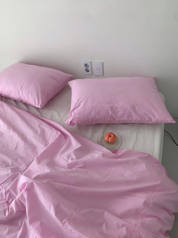 steady seller cotton 스터디 셀러 코튼 2size / 7colors