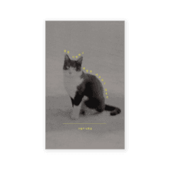 [9차 재입고] 쉽게 사랑하고 어렵게 미워하고 싶지만