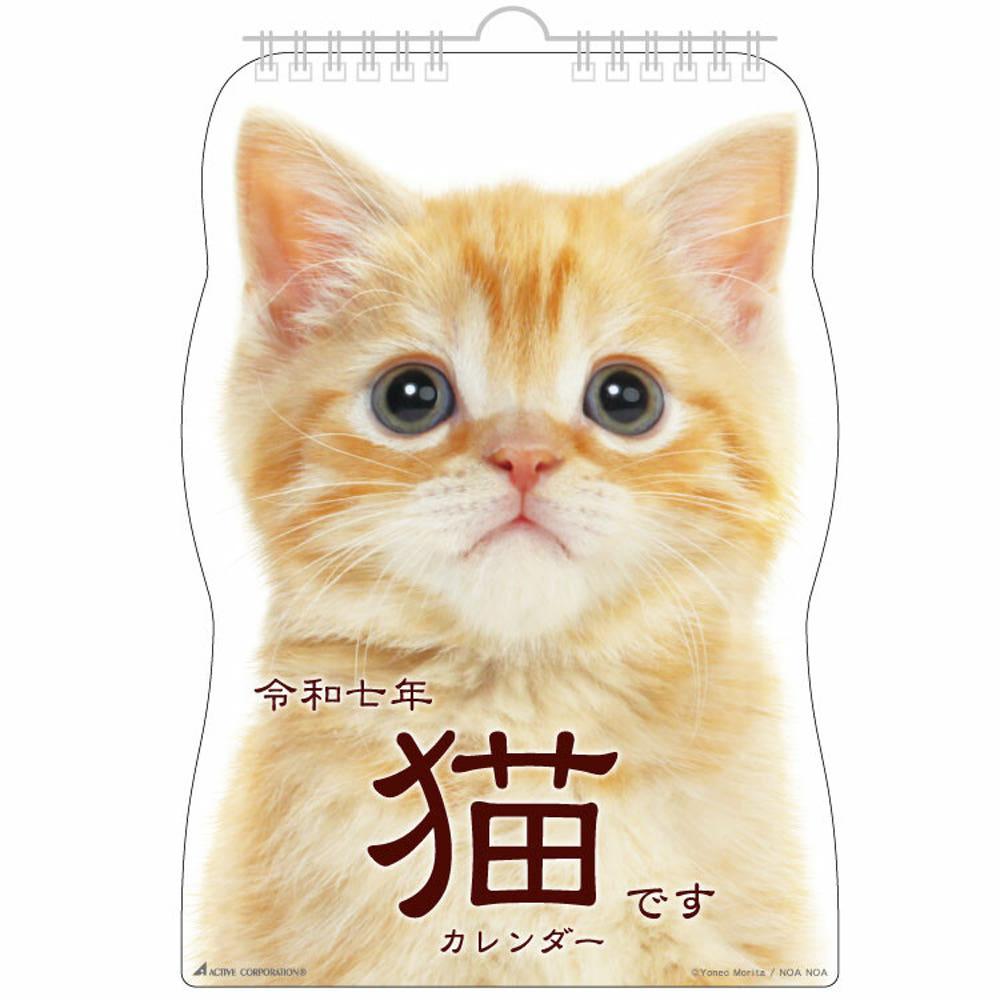 2025 고양이 캘린더 벽걸이달력