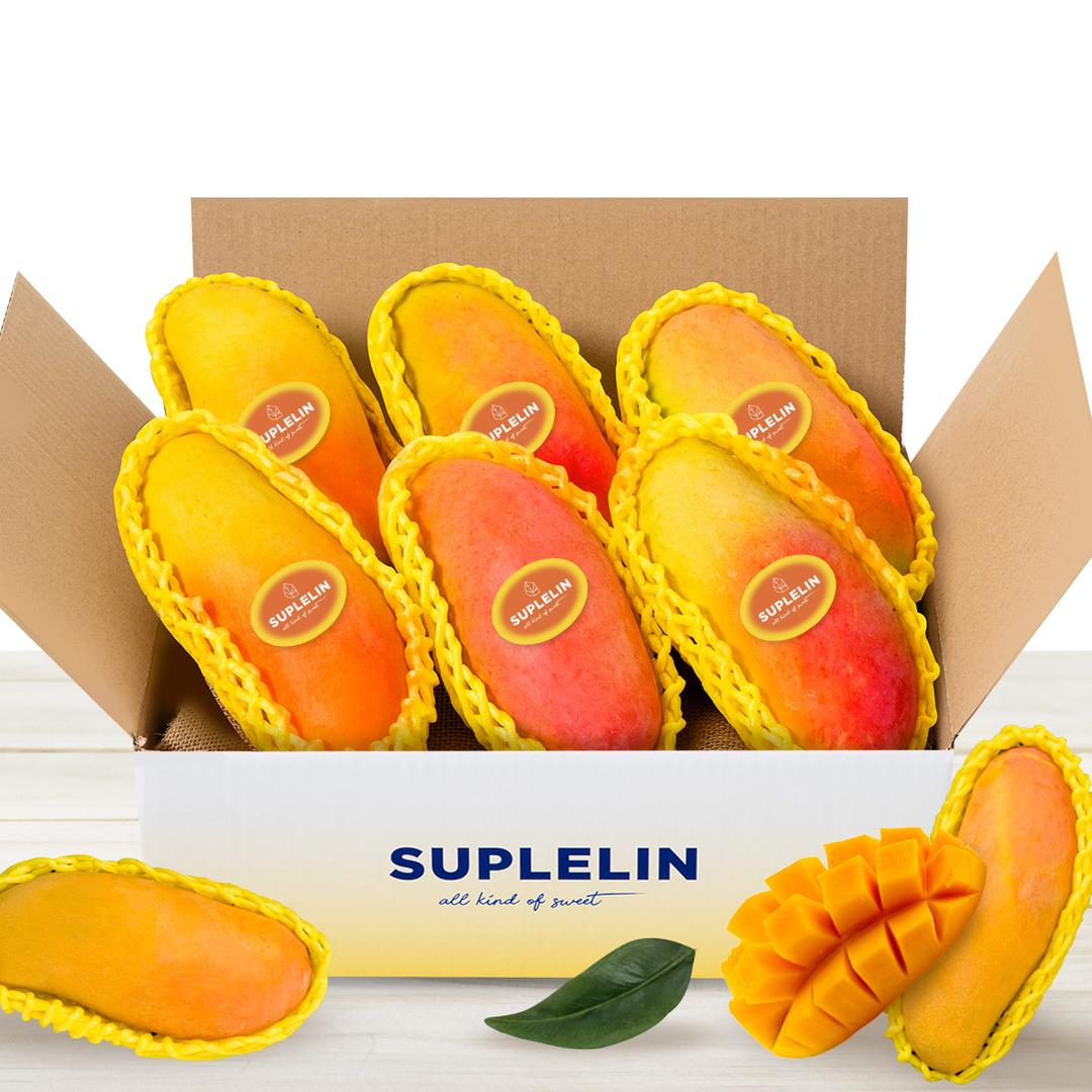 "망고선물" 고당도 마하차녹망고 과일선물 2kg 이상 (5~7입/로얄과)