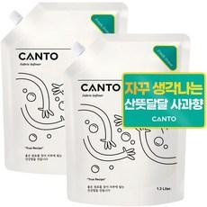 칸토 고농축 프리미엄 섬유유연제 파우치 새콤달콤 과일향 프레시그린  2개, 1.3L