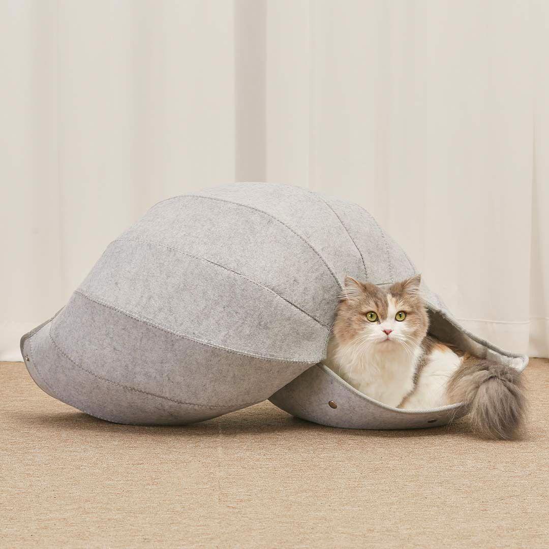 이너프파이브 소라껍질 숨숨집