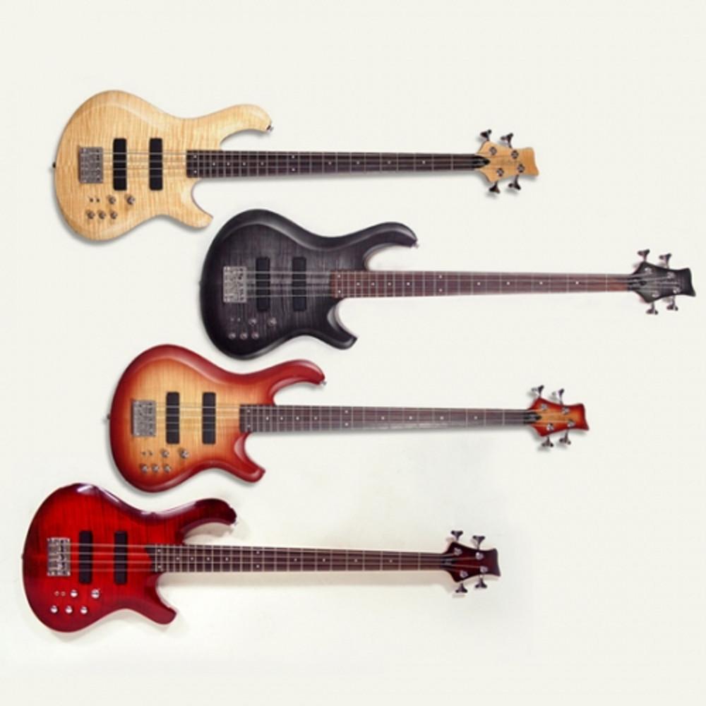 데임 폴앤폴 250