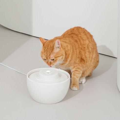 DUIT 웨이브팟 반려동물 급수기 WV-1000 - 물병/급수기/급식기 | 쿠팡