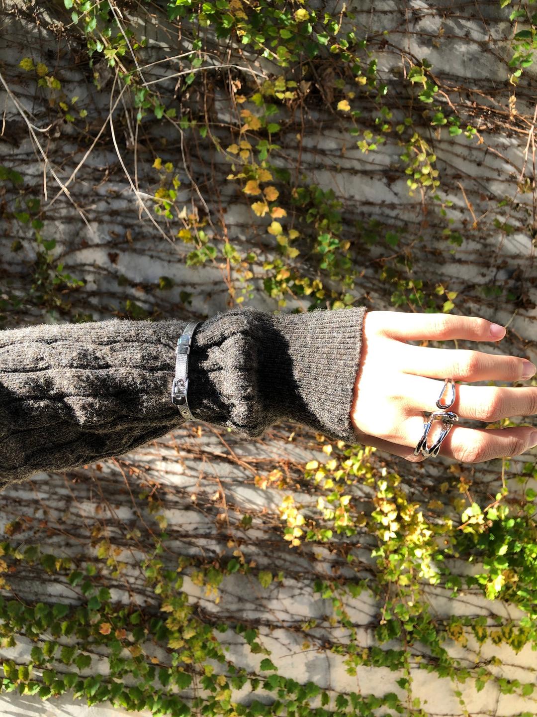 sapwood bold ring