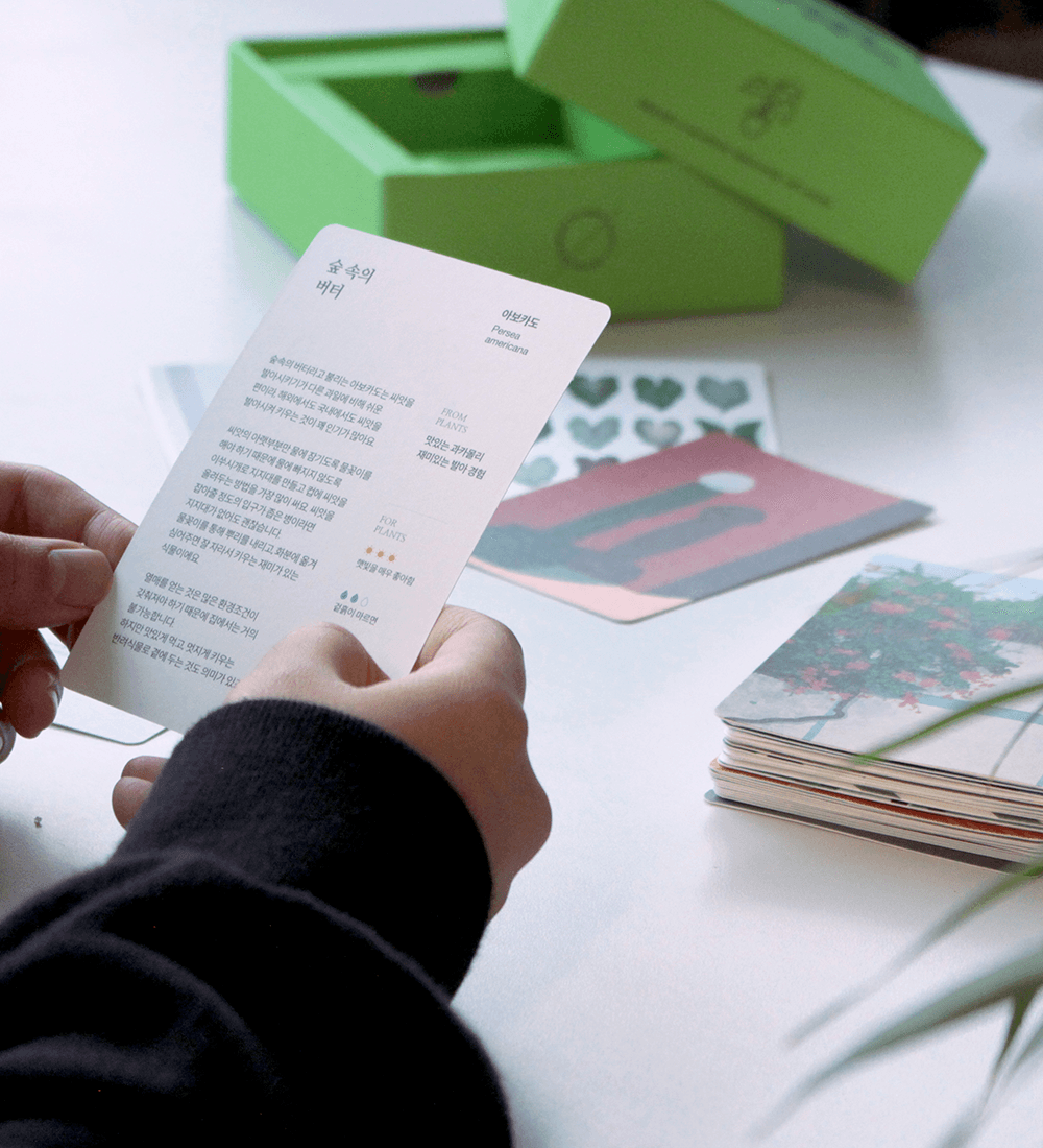 40종 식물 일러스트 스토리 카드. 헬로플랜츠