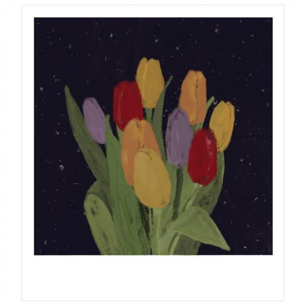 어느날 올려다 본 하늘에는, 밤 엽서