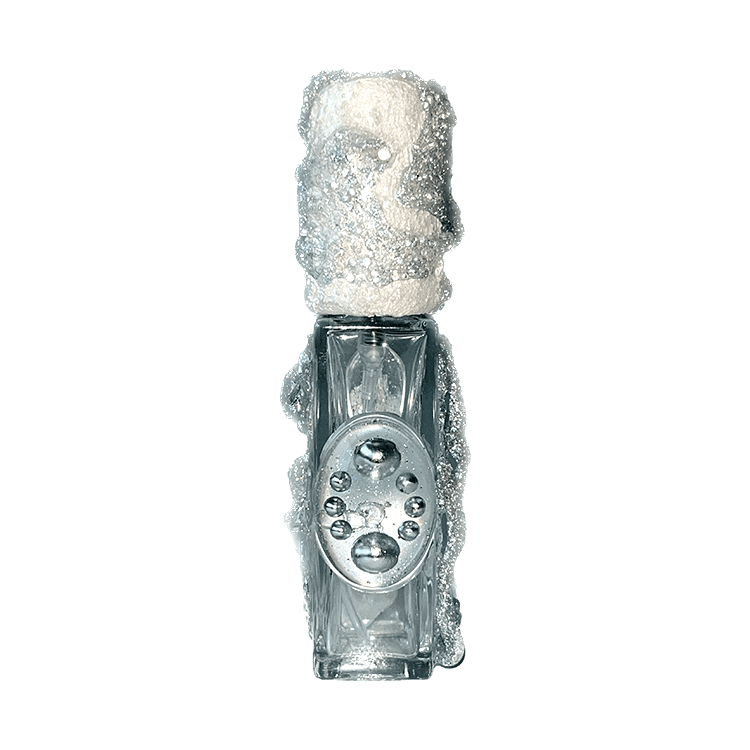 perfume case 012