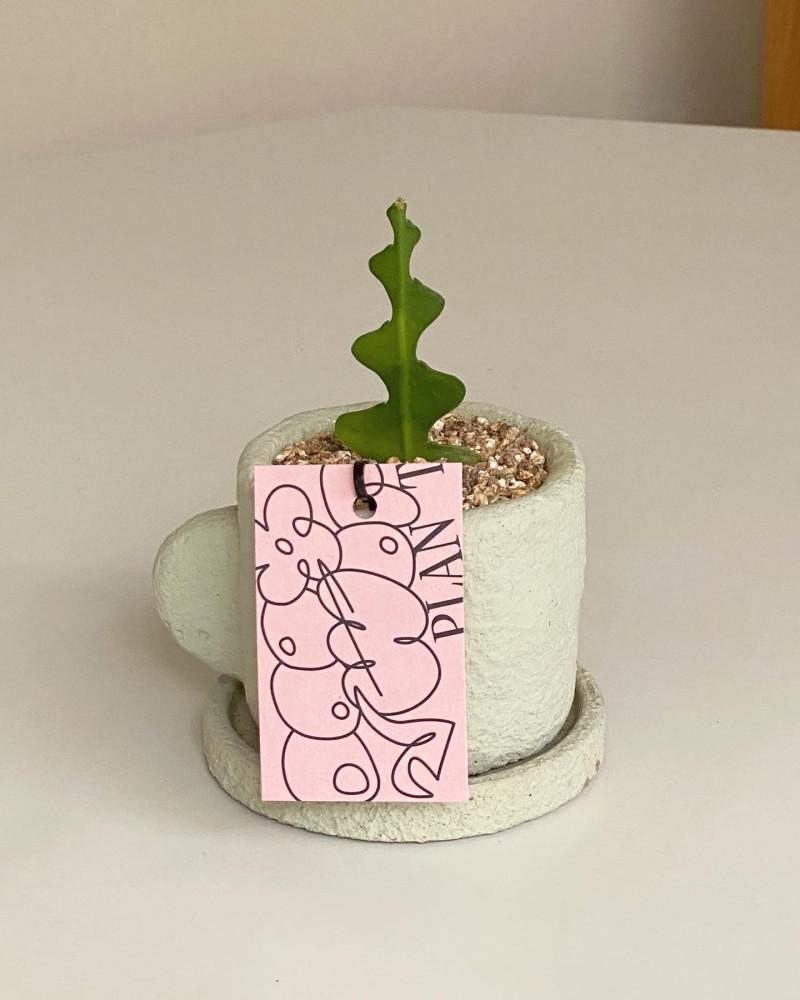 [B급화분] 피쉬본 구름컵 세트 상품