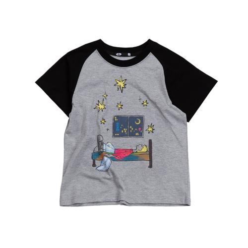 Sleeping Bed Raglan T-Shirt Grey Small Fit