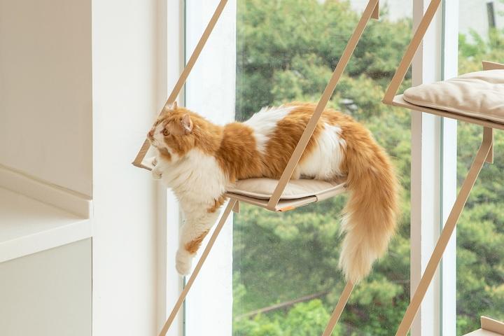 [주말특가]접을수있는 창문캣타워/고양이 원목 해먹침대 소형 미니 대형계단