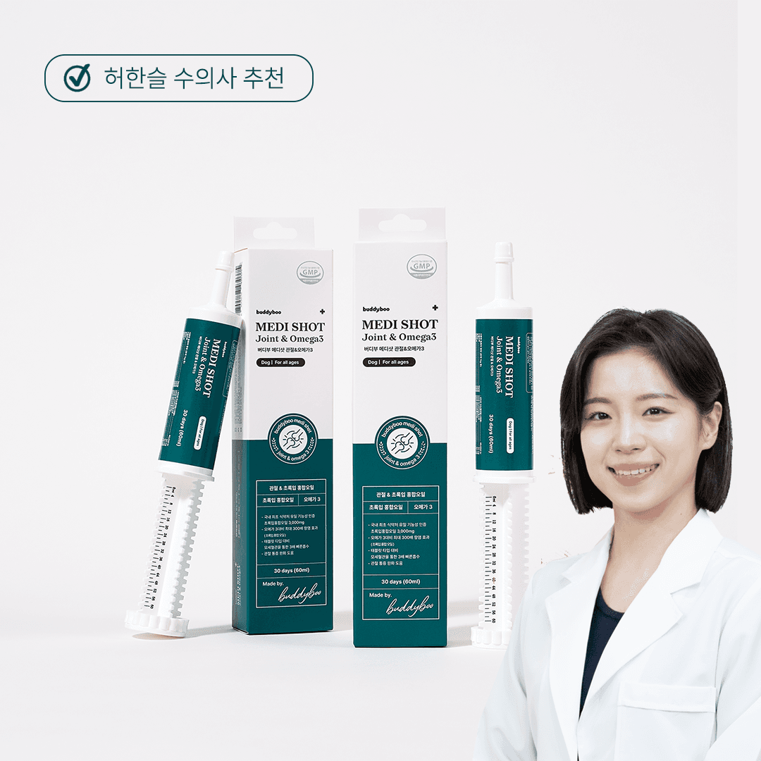 버디부 메디샷 조인트&오메가3, 강아지 관절 영양제 슬개골