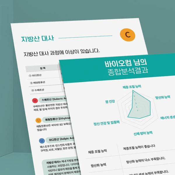 종합 대사기능 분석