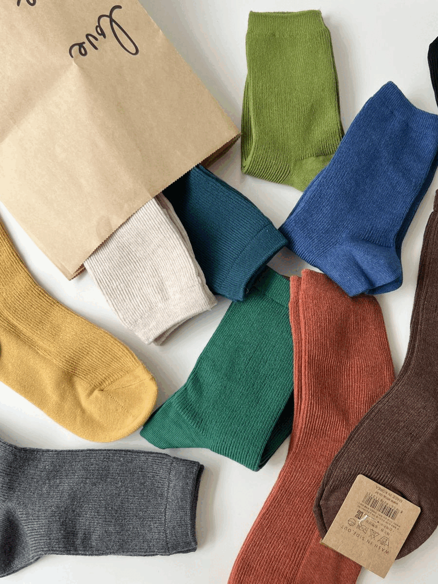 *국내생산* 쨍쨍 컬러삭스 중목 골지 양말 비비드 무지 기본 요일