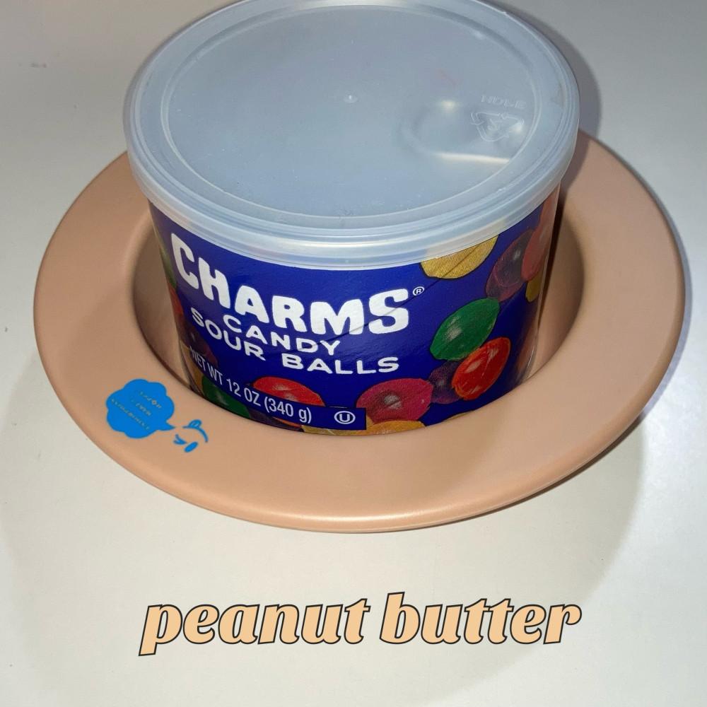 아니 근데 공기만 담아도 귀엽다고 그릇 (peanut butter)