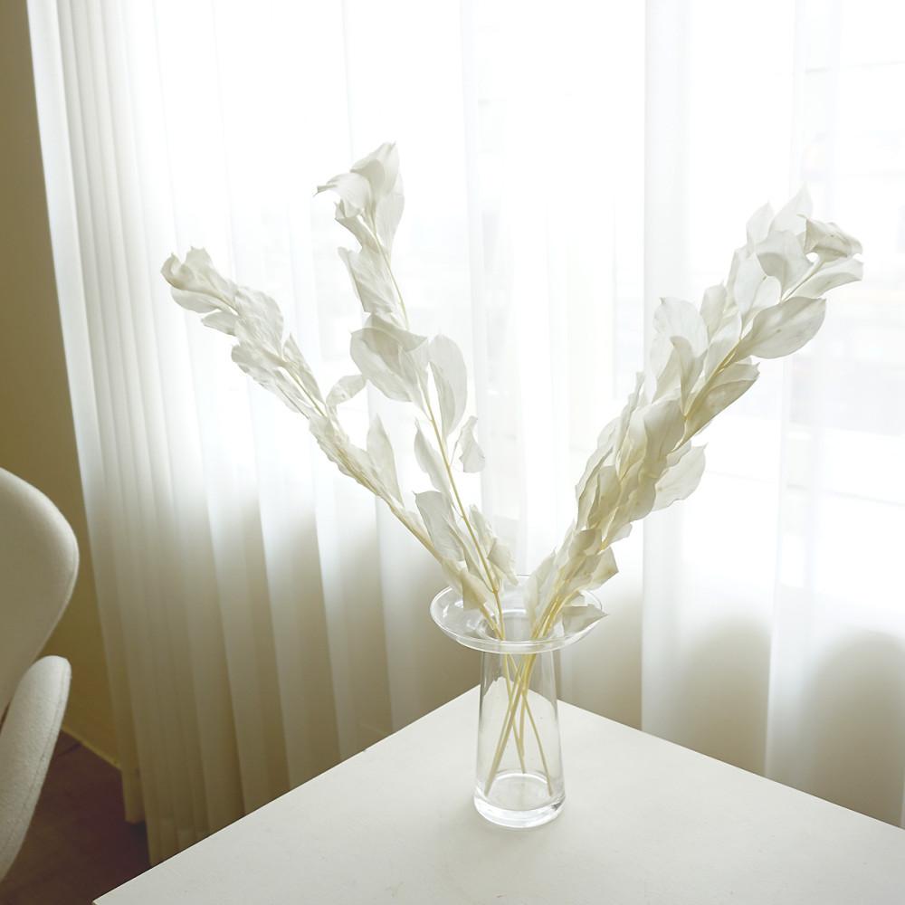 클리어 유리 화병 접시 글래스 투명 꽃병 오브제 꽃꽂이 인스타감성 스튜디오 오브제