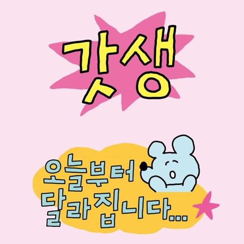 [수키도키] 갓생 올인원팩