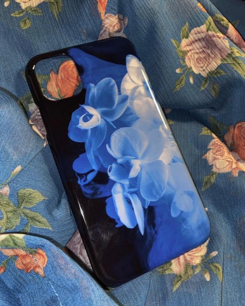 水菊