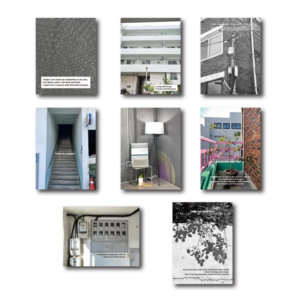 [히피베어] 무드 포토 스티커팩 / sitcker 다이어리꾸미기