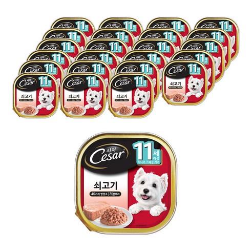 시저 반려견 주식캔 시니어 11세 이상 쇠고기, 소, 100g, 24개입