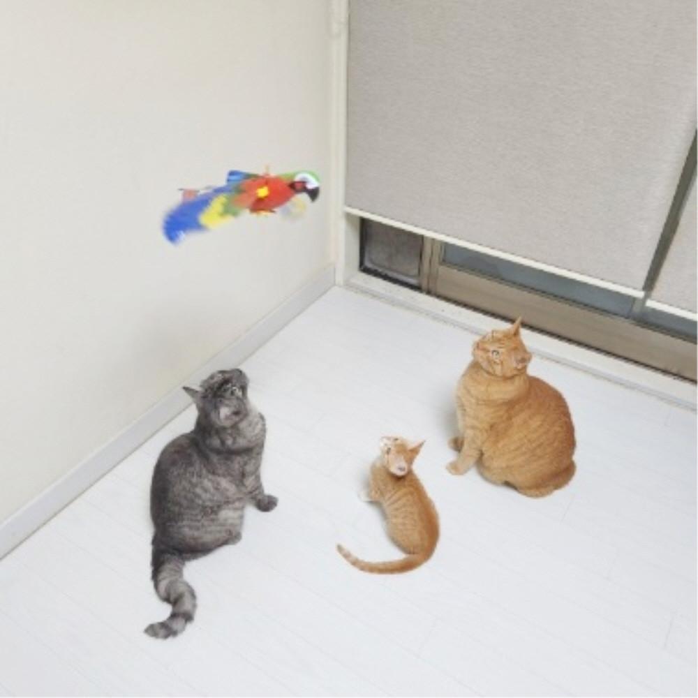 고양이 새장난감 고양이장난감 자동 움직이는 날아다니는 춤추는 사냥 앵무새