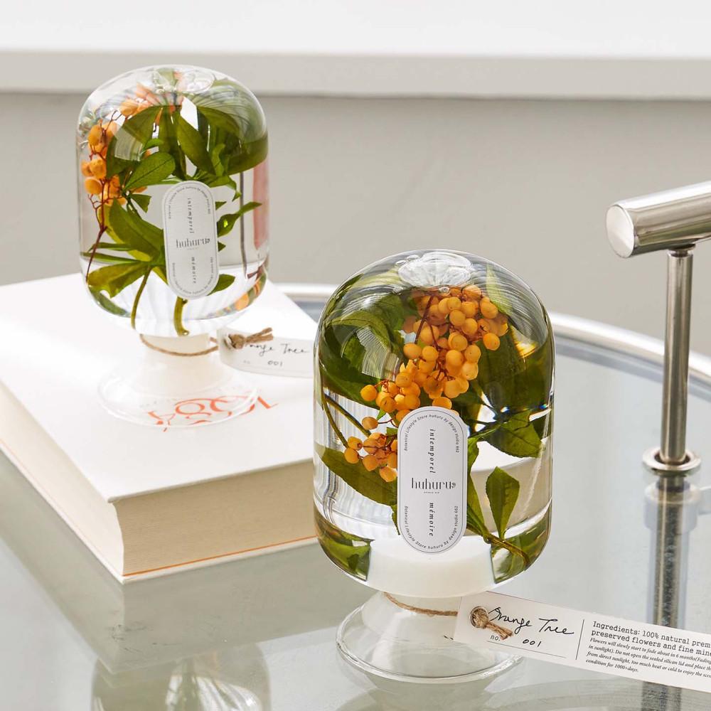 [Orange Tree 오렌지 트리] 시그니처 플랜트 오브제 식물 무드등