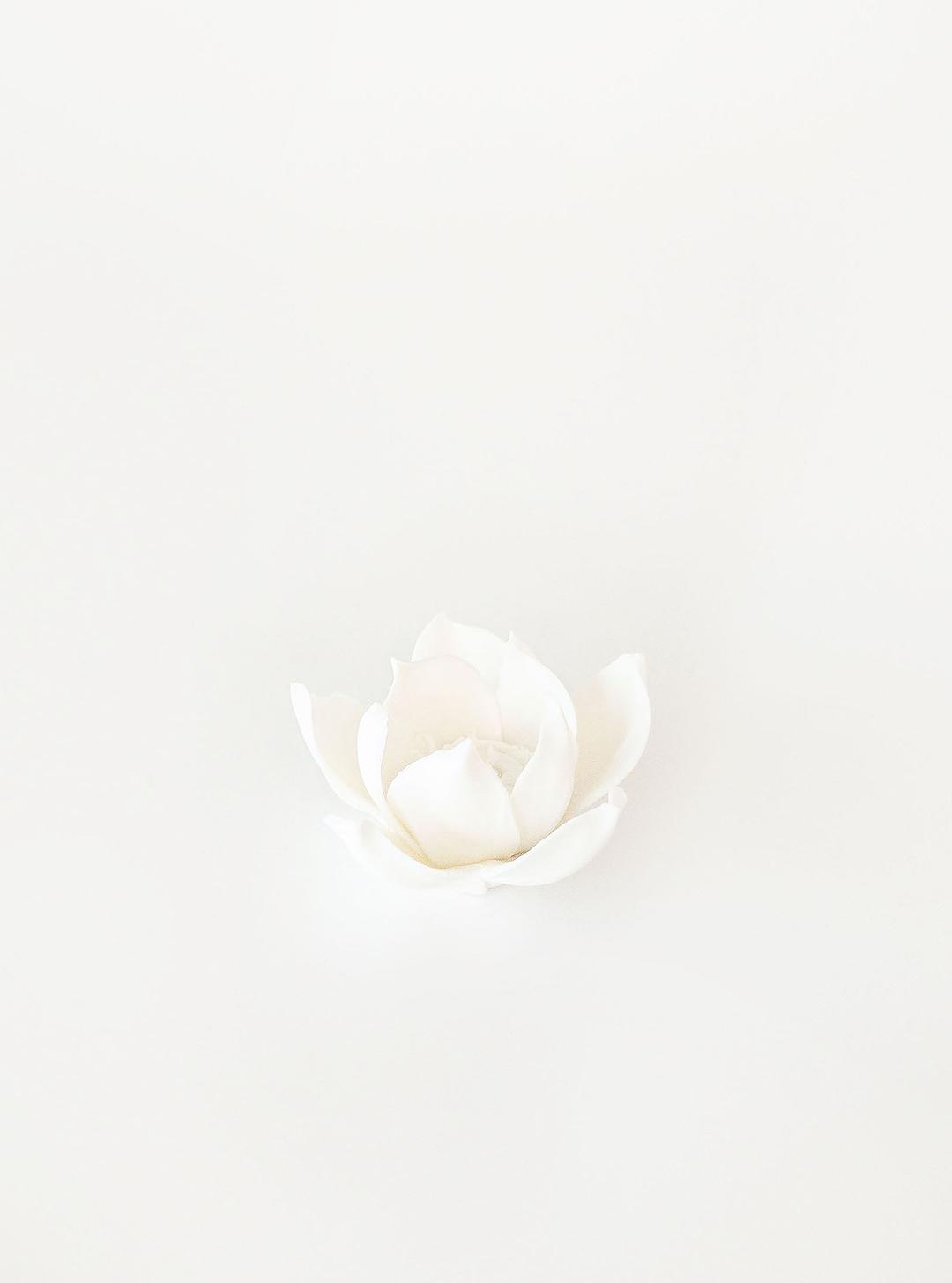 (재입고) Pure Lotus Incense Hold