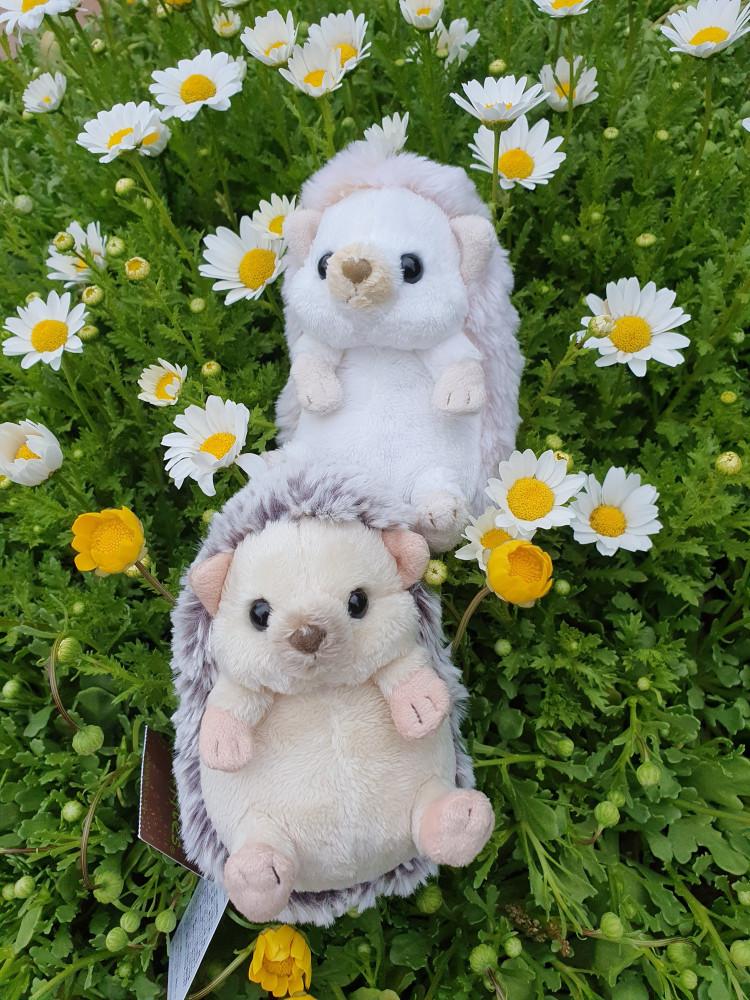 선레몬 플러피 아기 고슴도치 애착 동물 인형 선물