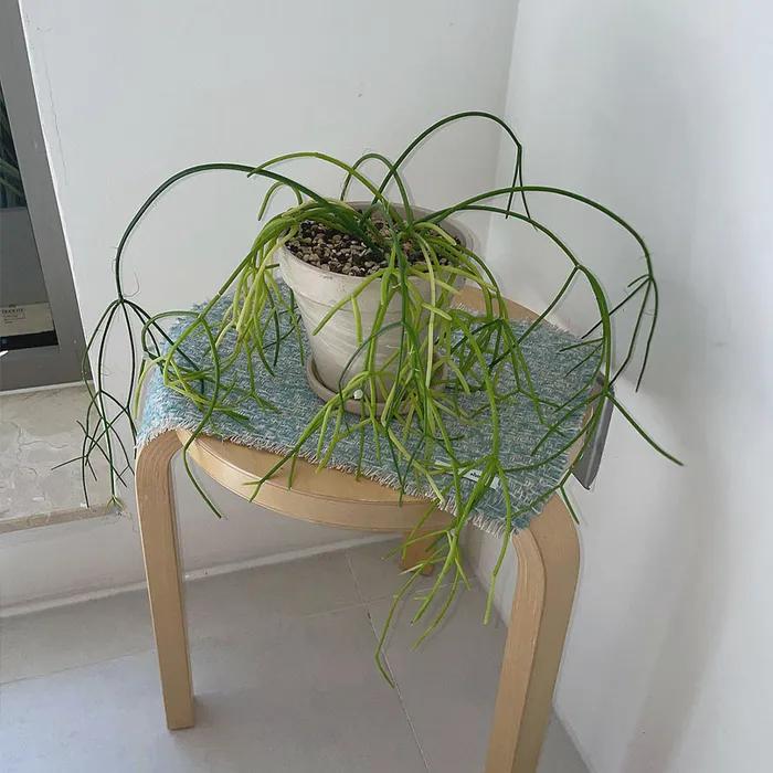 Weaving Objet mat / Teal 오브제 매트