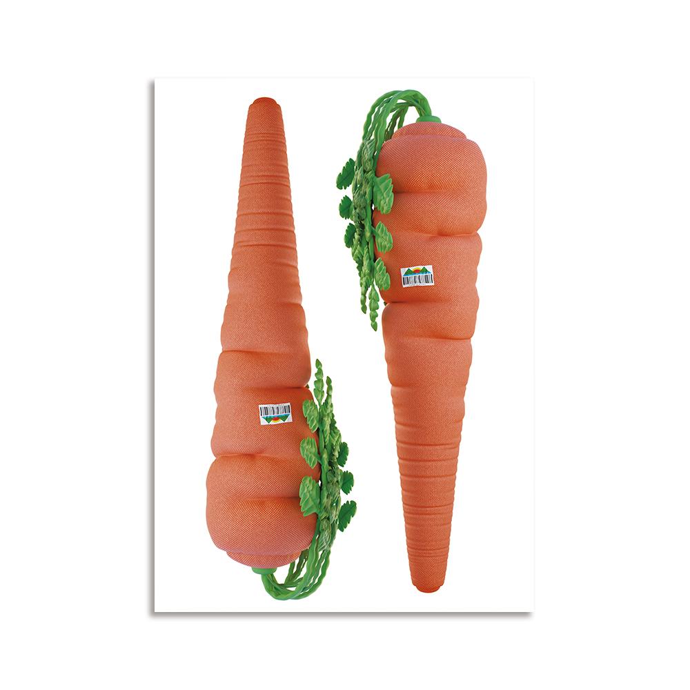 Buy some fruit!: carrot cushion poster