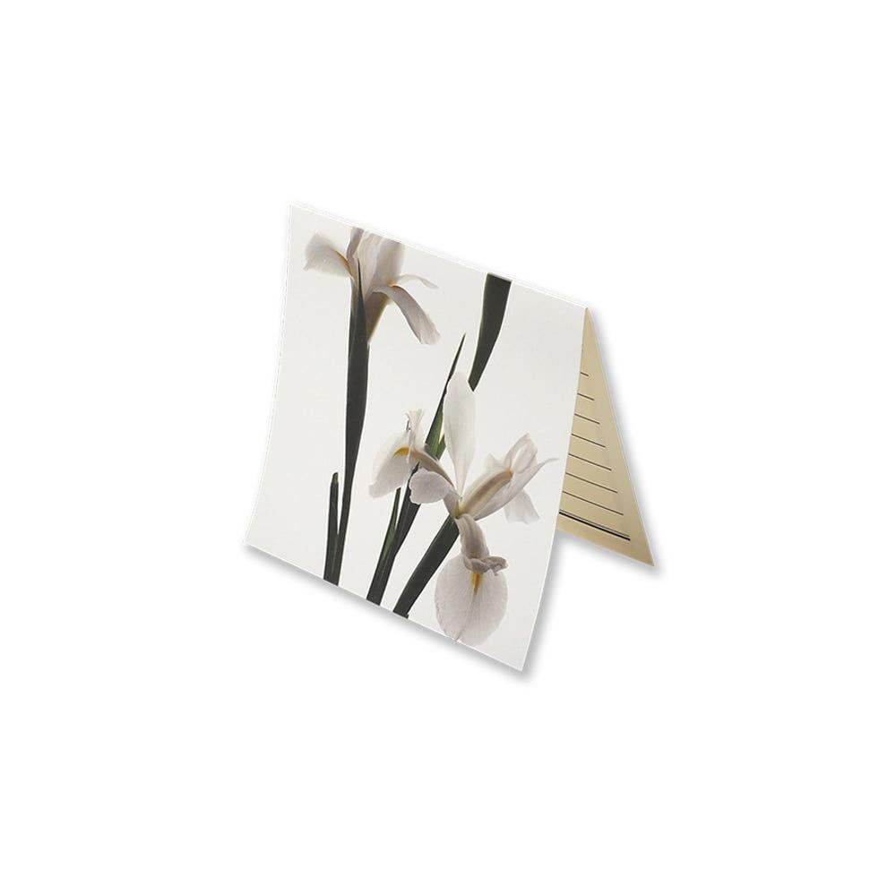 [글월] GUELWOLL 플라워 카드 1 Winter Flower - 아이리스