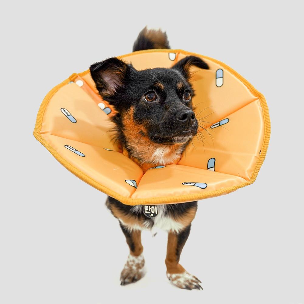 수의사가 설계한 알약 넥카라 방수 가벼움 튼튼함을 갖춘 넥카라