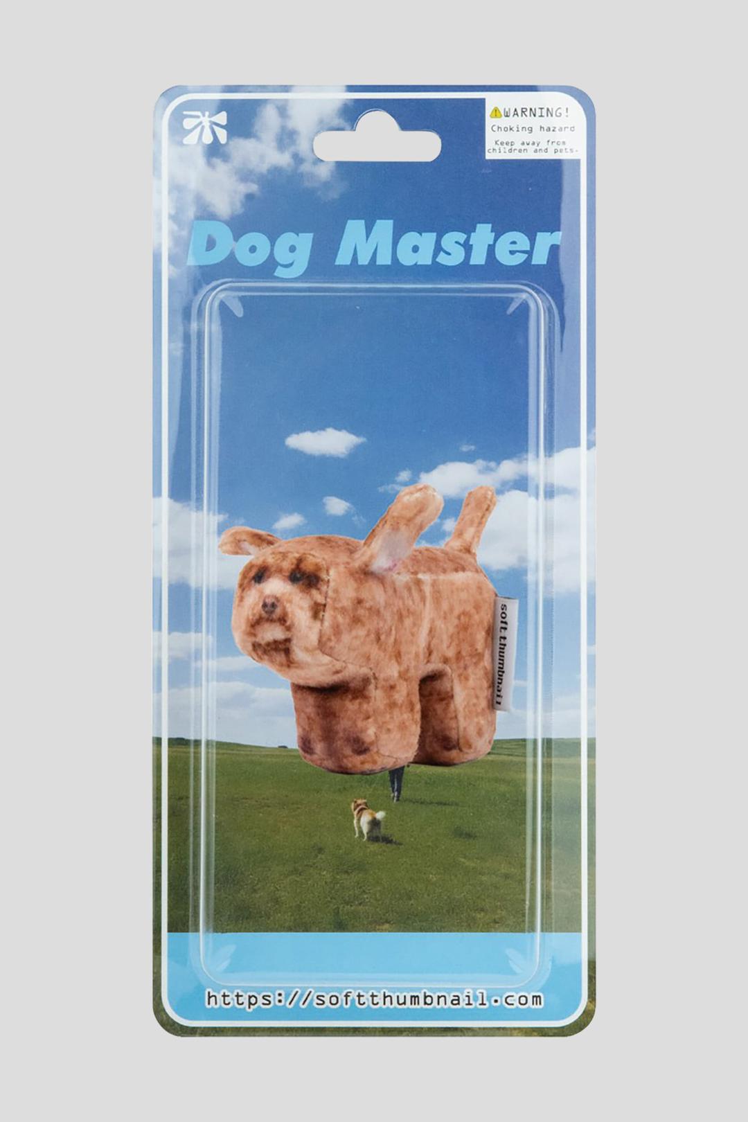 Coco, Poodle