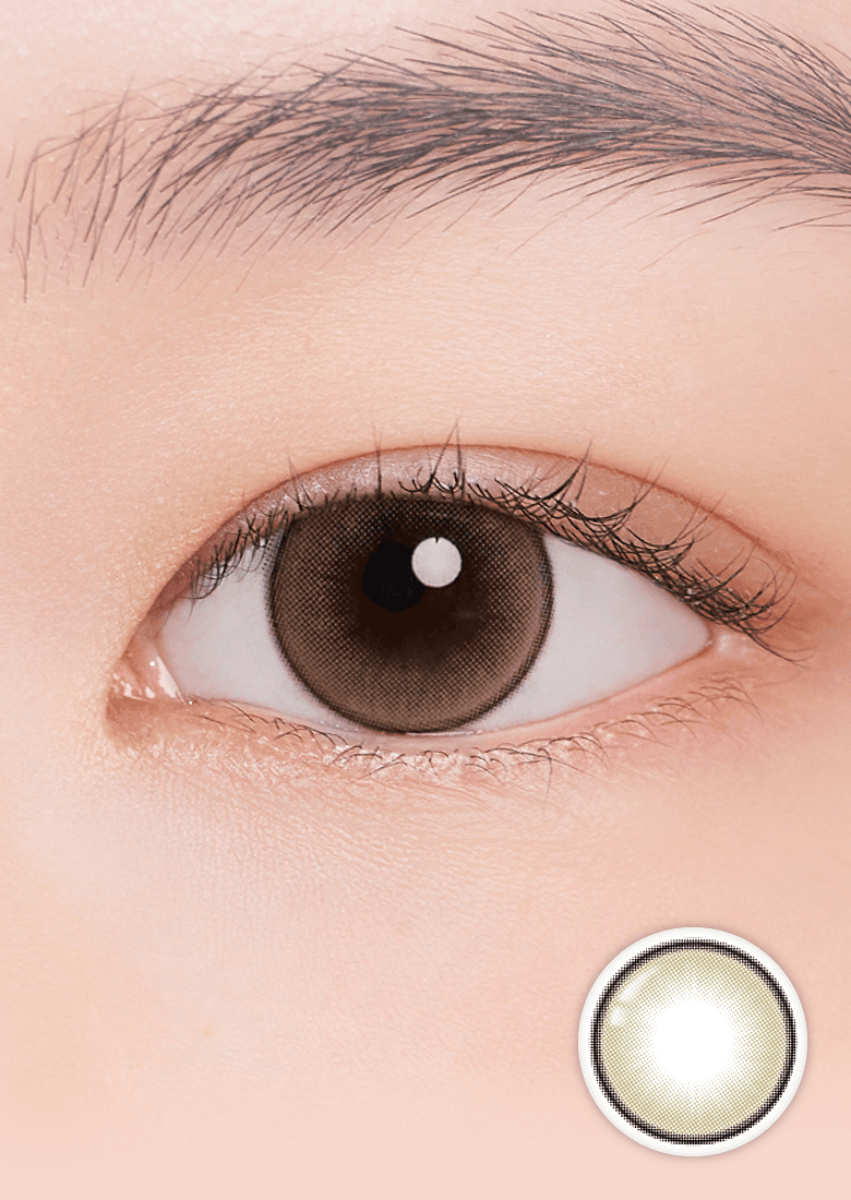 리젯 올리브 브라운