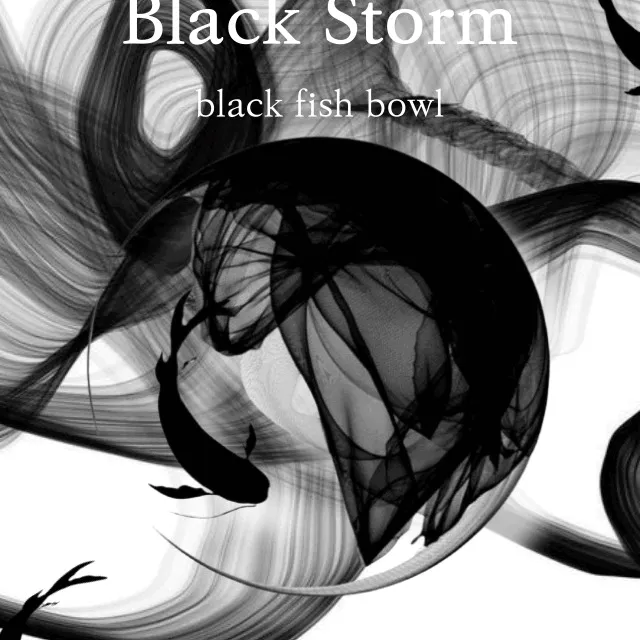[맥세이프가능⚡] 검은 어항 🐟  black night 스마트톡 맥세이프톡 맥세이프스마트톡 반구톡 핑거톡 아이폰톡 갤럭시톡 케이스 자석 친구 생일 선물 우정템 커플템 투명 반구