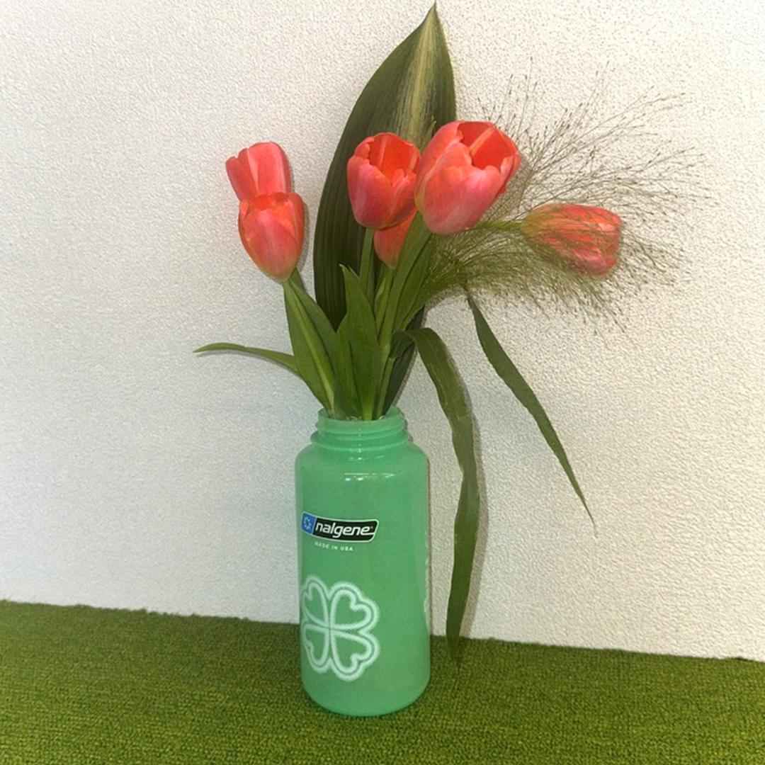 clover nalgene 1.0L bottle #GLOW (4/22 순차 발송)