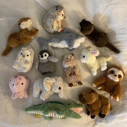 SUNLEMON) FLUFFIES-플러피애니멀 인형★신상 수달/악어/카피바라 추가★