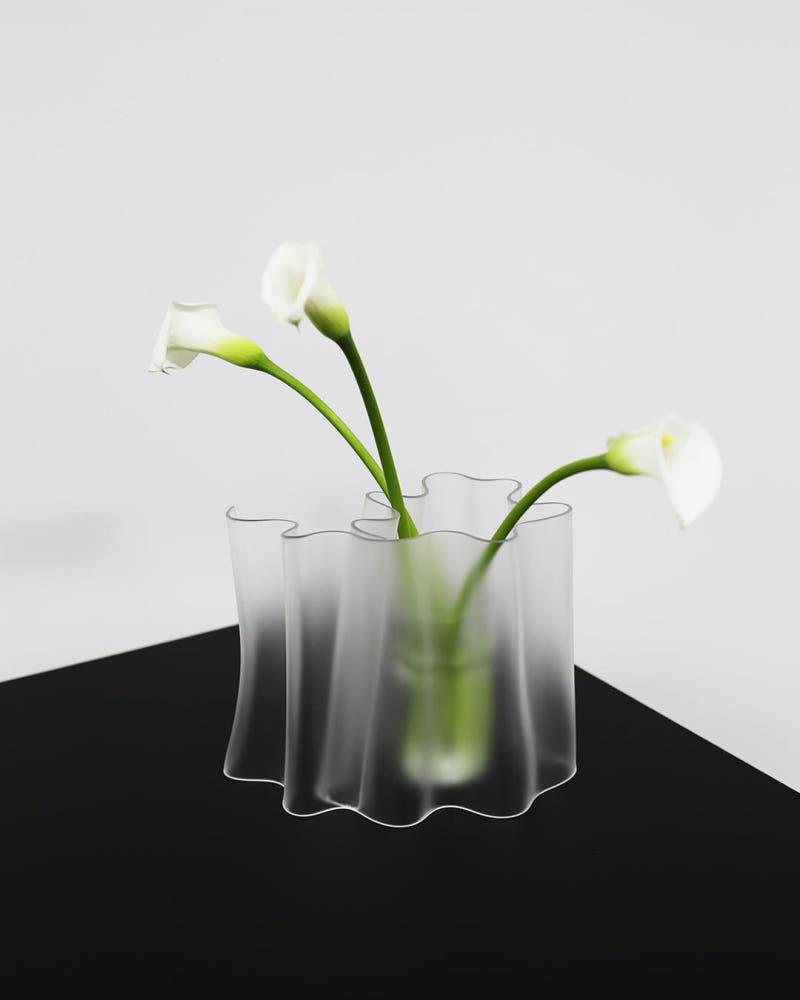 Vase Scarf, 쉘위댄스