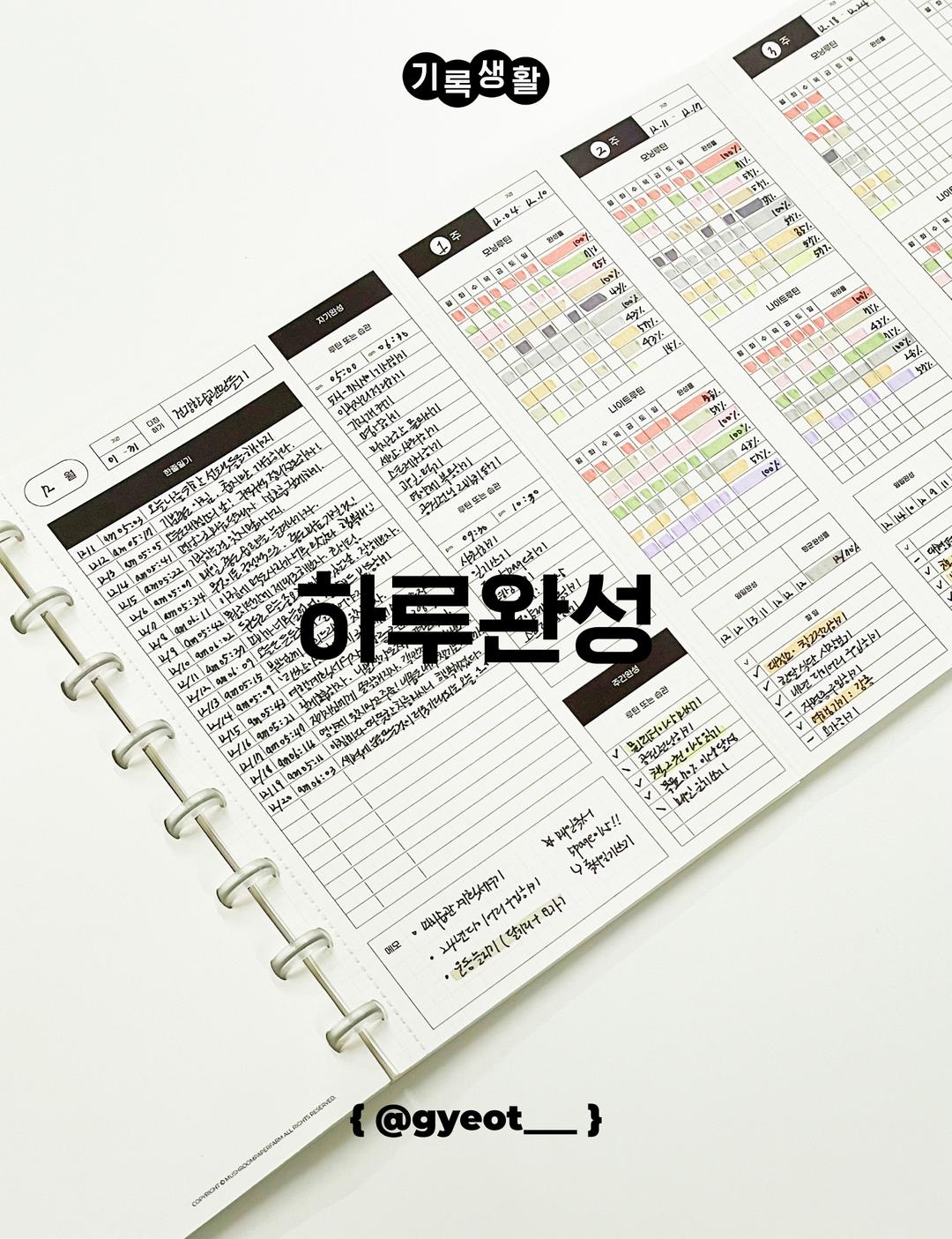 PAPER | WC13_하루완성
