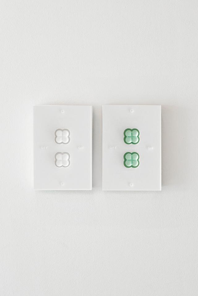 2 LUCKY SWITCH COVER
