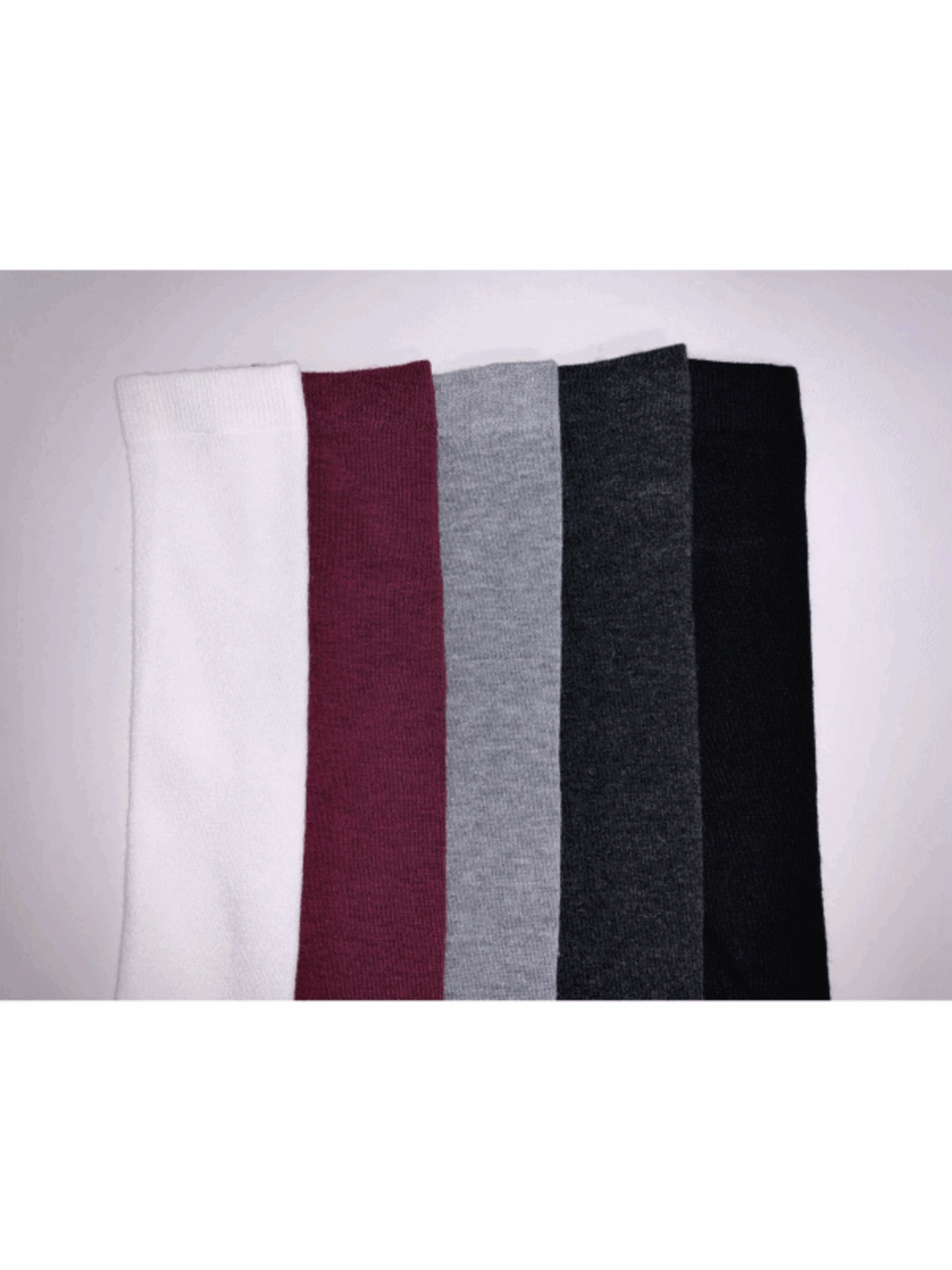 coy knee socks (5color) / 코이 니삭스