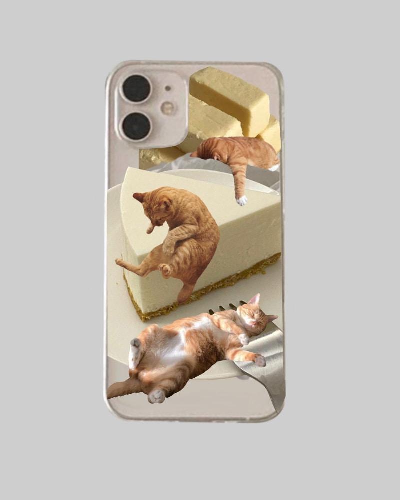 [Jelly hard] cheese cat