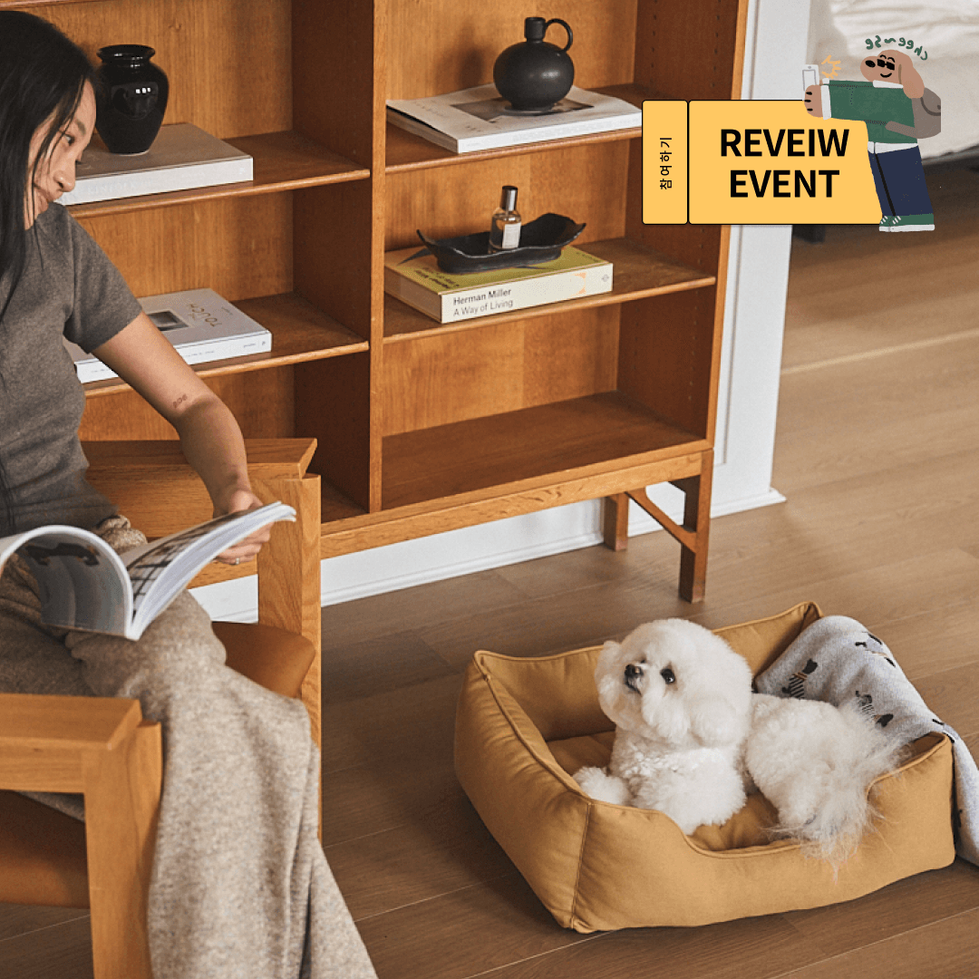 밀리옹 머핀 베드 카멜